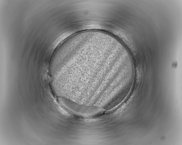 X0000093581225200710291054