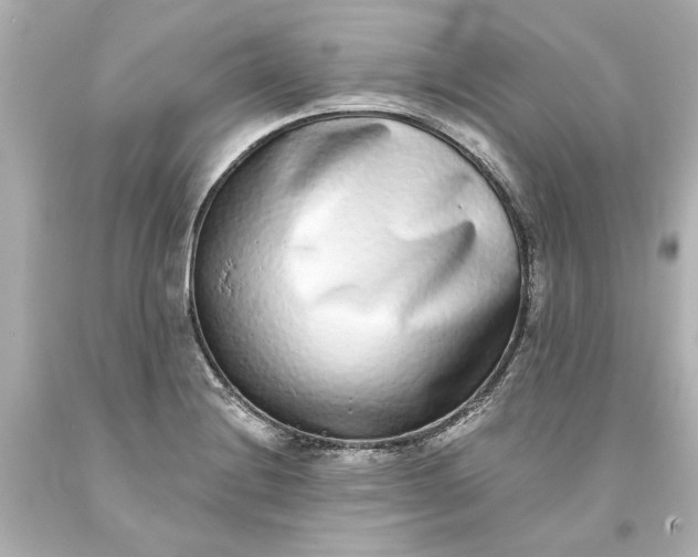 X0000093581228200710291054