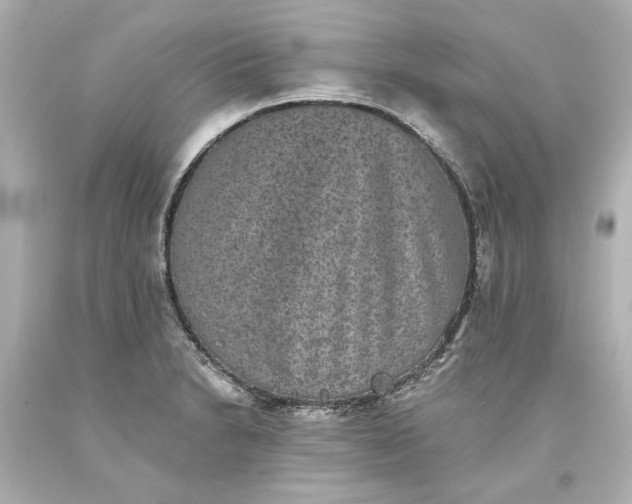 X0000093581230200710291054