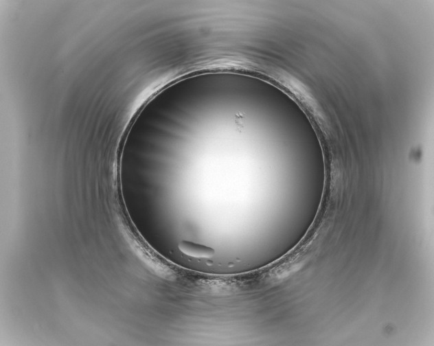 X0000093581234200710291054