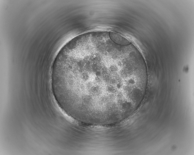 X0000093581235200710291055