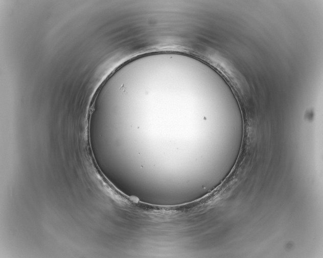 X0000093581236200710291055