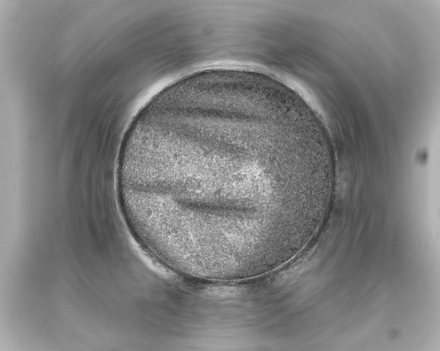 X0000093581237200710291055