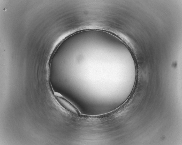 X0000093581238200710291055