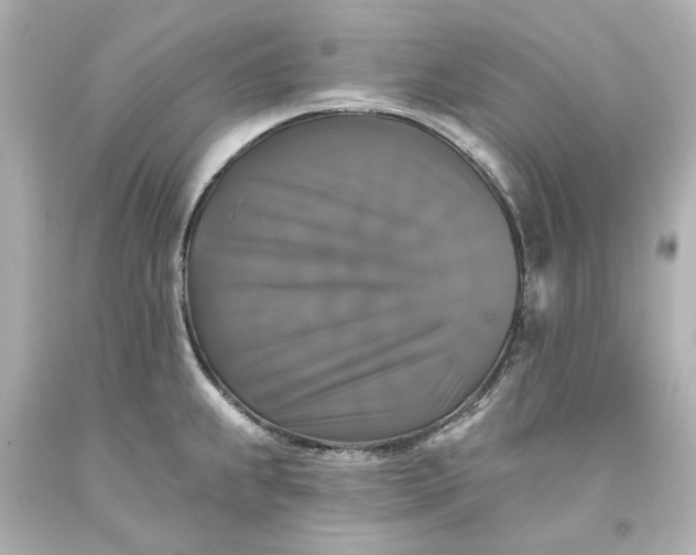 X0000093581239200710291055