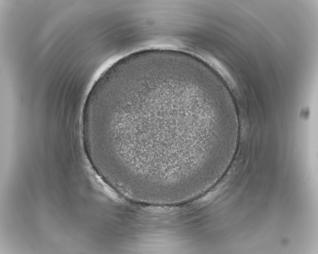 X0000093581240200710291055