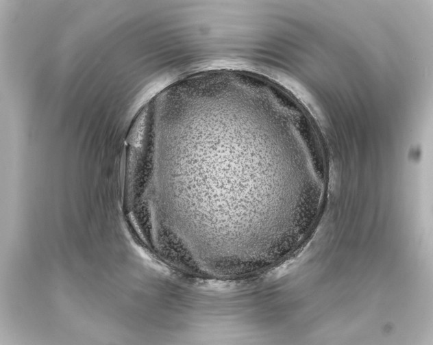 X0000093581241200710291055