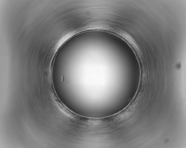 X0000093581242200710291055