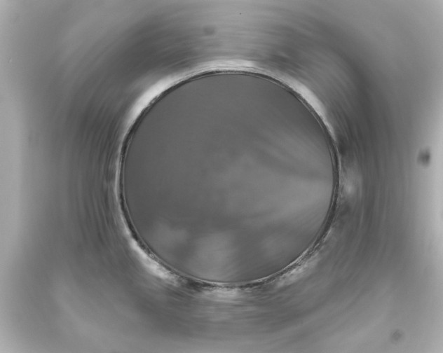 X0000093581245200710291055