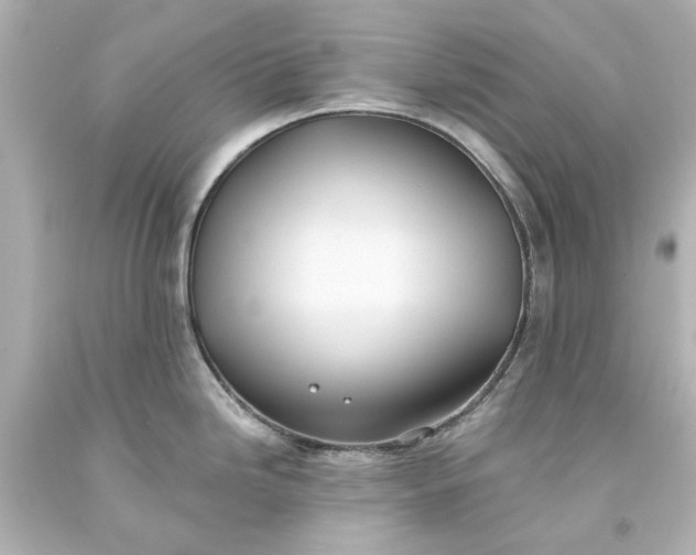 X0000093581246200710291055