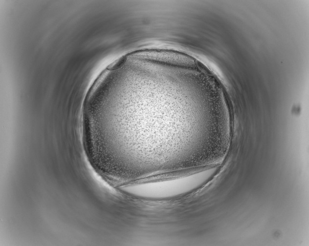 X0000093581247200710291055