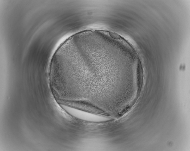 X0000093581248200710291055