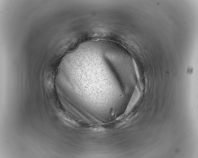 X0000093581250200710291054