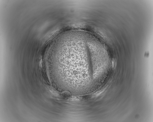 X0000093581251200710291054