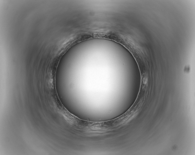 X0000093581252200710291054