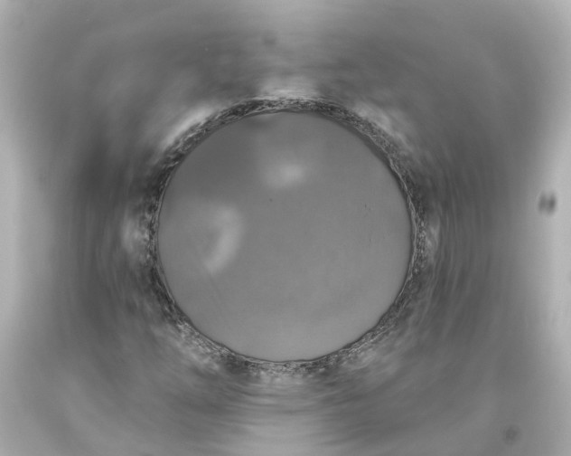 X0000093581254200710291054