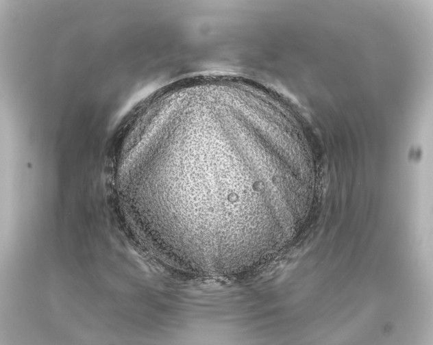 X0000093581255200710291054