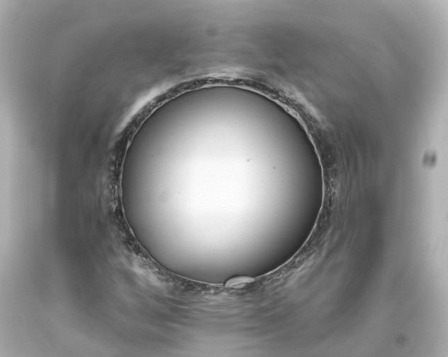 X0000093581256200710291054