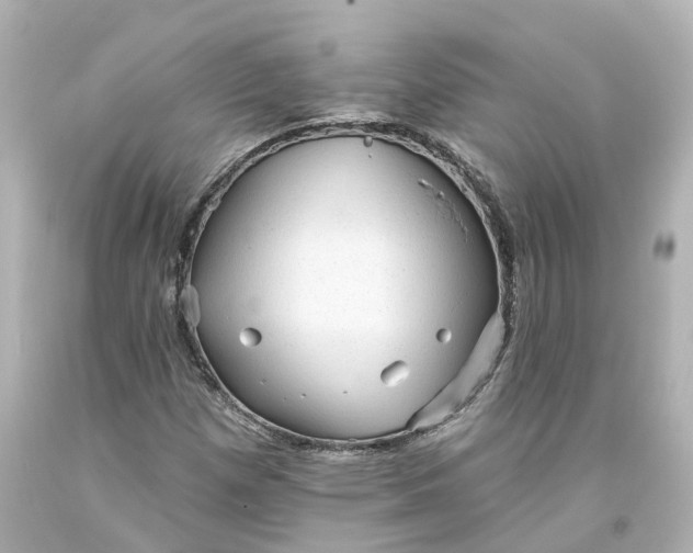 X0000093581257200710291054