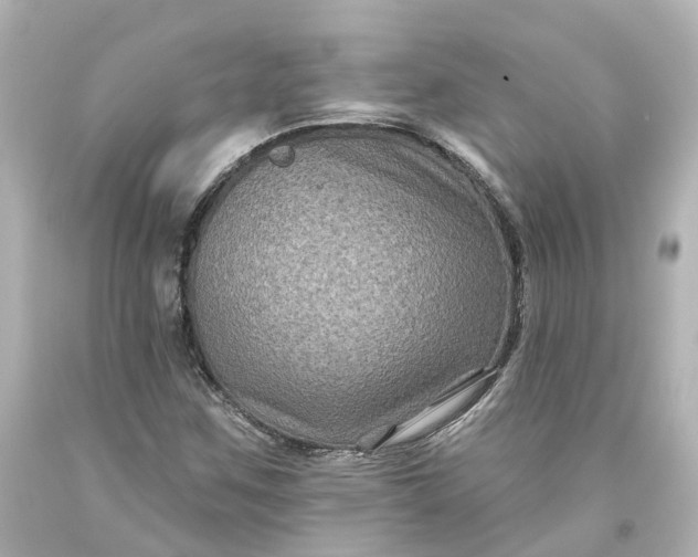 X0000093581259200710291054