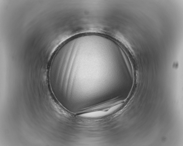 X0000093581260200710291054