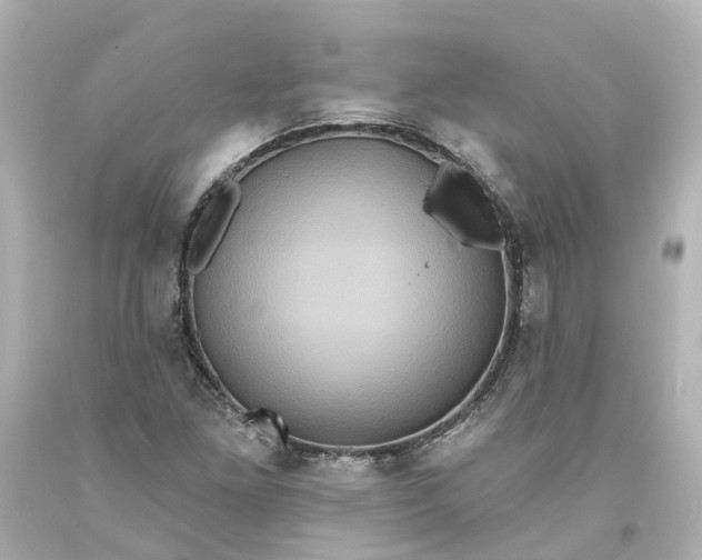 X0000093581261200710291054