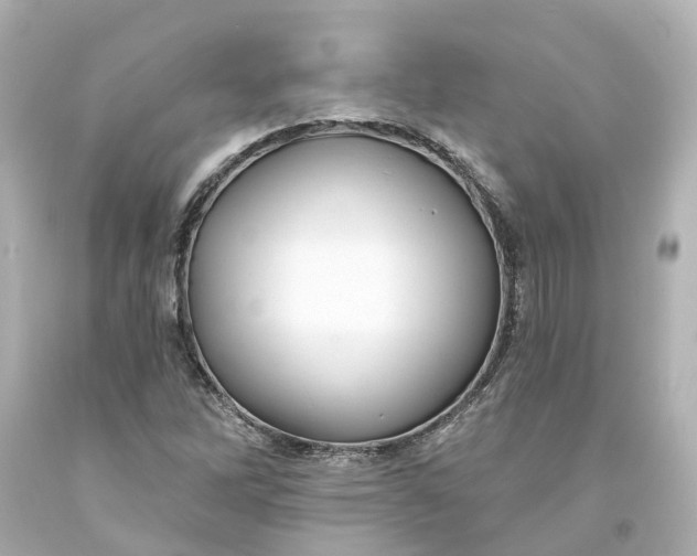 X0000093581262200710291054