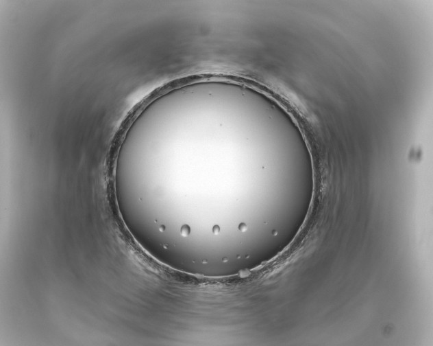 X0000093581264200710291054