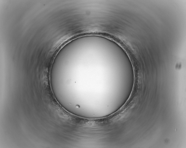 X0000093581265200710291054