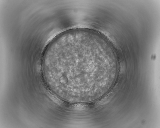 X0000093581266200710291054