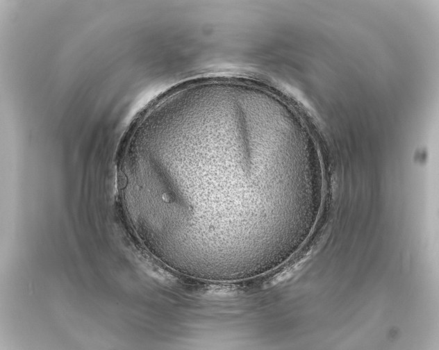 X0000093581267200710291054