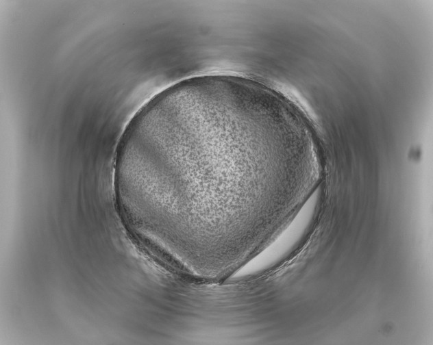 X0000093581268200710291054