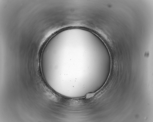 X0000093581270200710291054