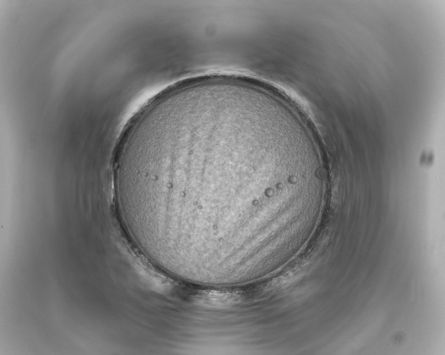 X0000093581271200710291054