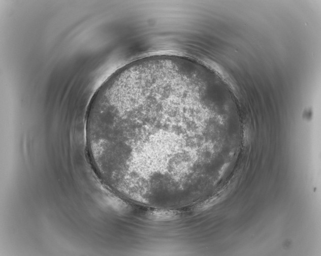 X0000093581274200710291054