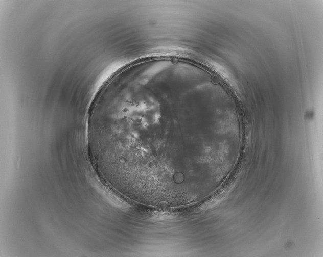 X0000093581275200710291054