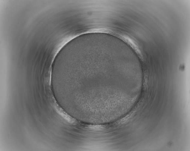 X0000093581276200710291054