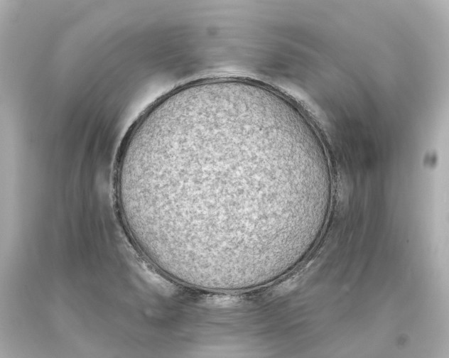 X0000093581278200710291054