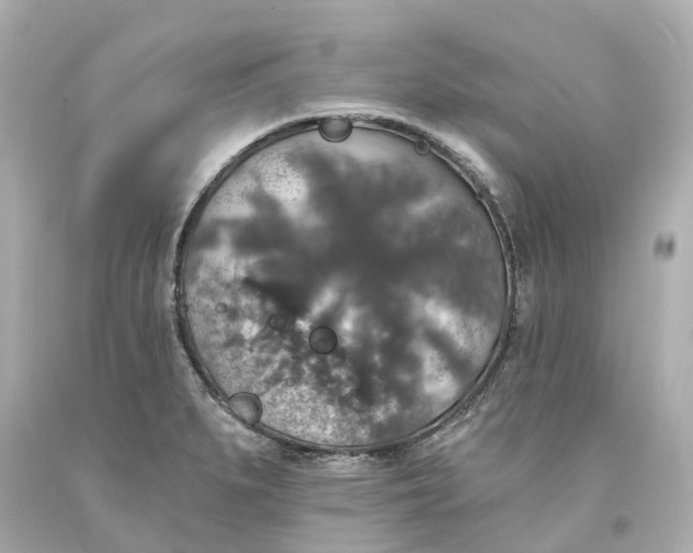 X0000093581279200710291054