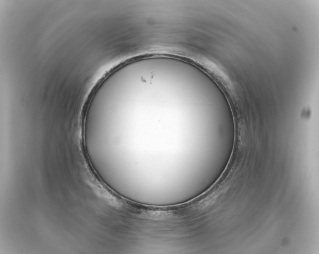 X0000093581280200710291054