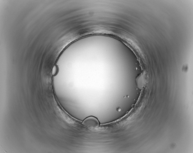 X0000093581281200710291054