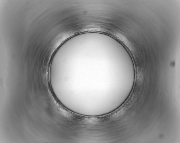 X0000093581282200710291054