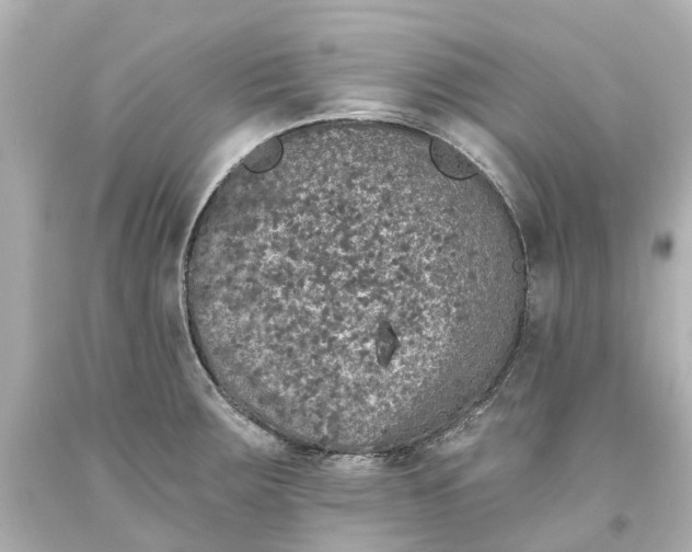 X0000093581283200710291054