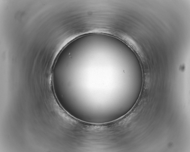 X0000093581284200710291054