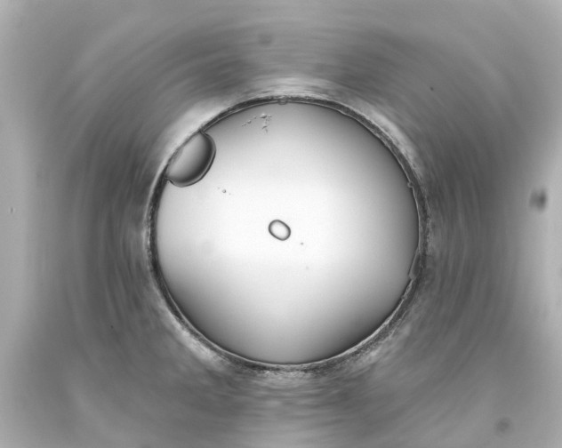 X0000093581285200710291054