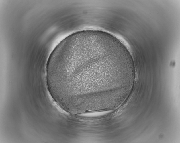 X0000093581287200710291054