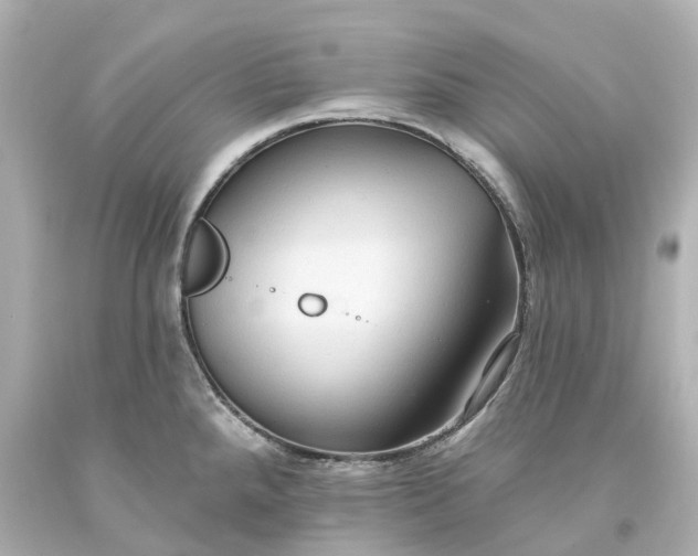 X0000093581288200710291054