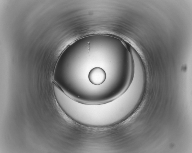 X0000093581289200710291054