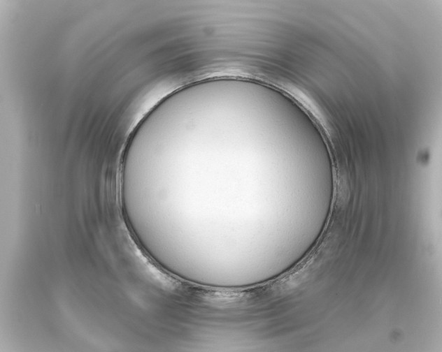 X0000093581290200710291054