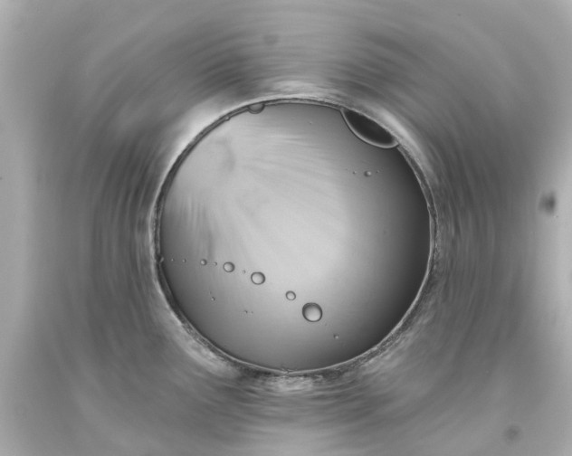 X0000093581291200710291054